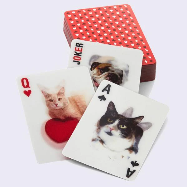 3D Cat Playing Cards - Image 3